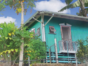 Turquoise House, Papaya Tree - Catherine Lee Neifing